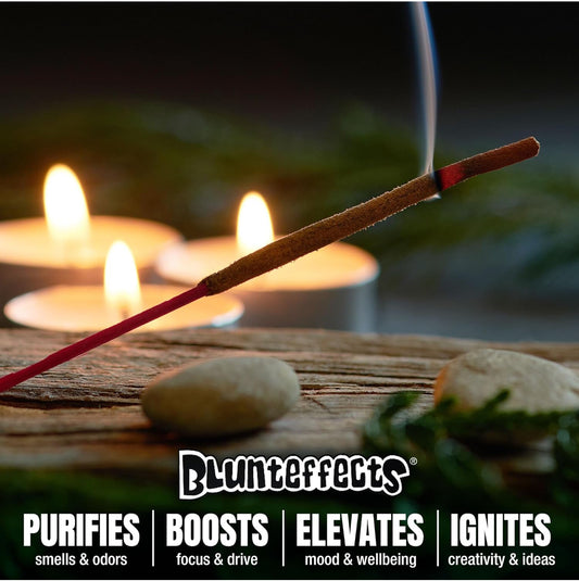 BLUNTEFFECTS INCENSE-SINGLE