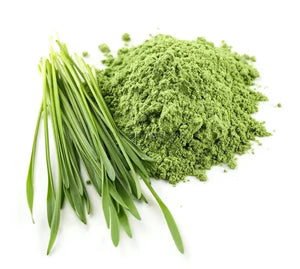 Barley Grass Powder - Hordeum vulgare