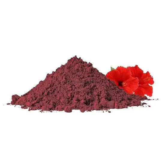 Hibiscus Powder - Hibiscus sabdariffa