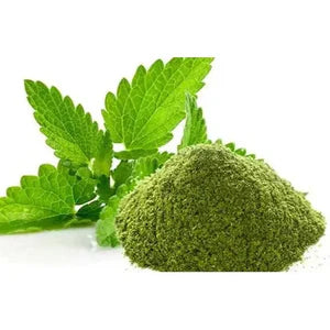 Mint Powder - Mentha spicata - Pudina Powder